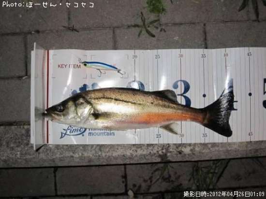 �����Х�