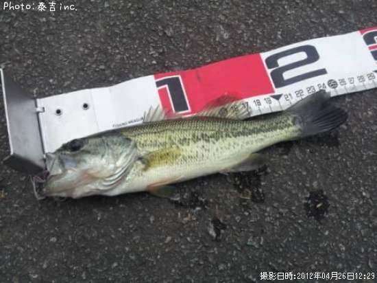 �֥�å��Х�