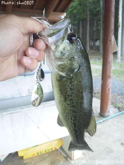 �֥�å��Х�