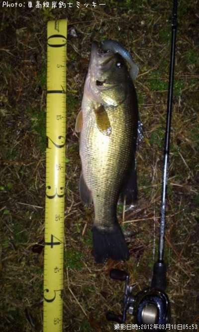 �֥�å��Х�