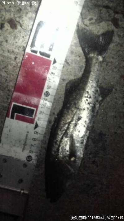 �����Х�