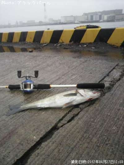 �����Х�