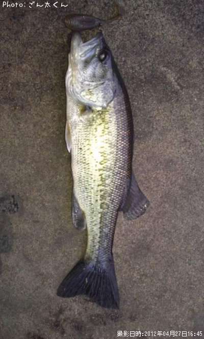 �֥�å��Х�