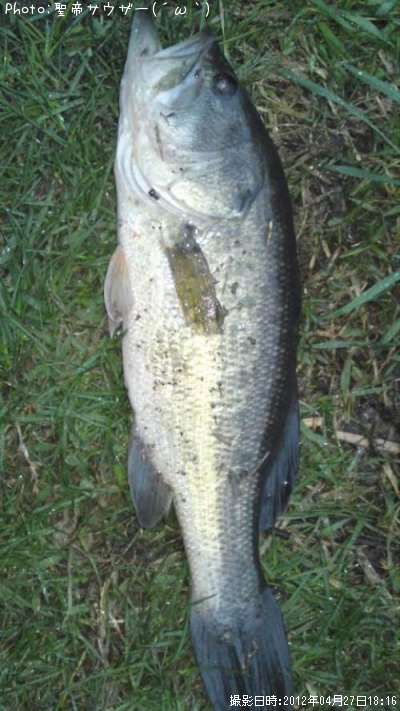 �֥�å��Х�