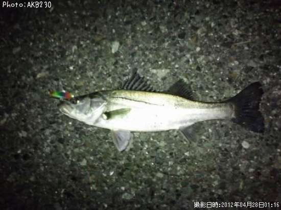 �����Х�