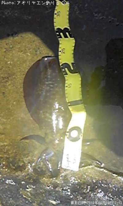 �����ꥤ��