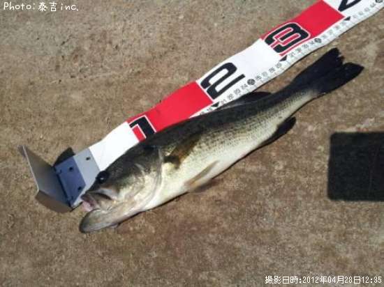 �֥�å��Х�