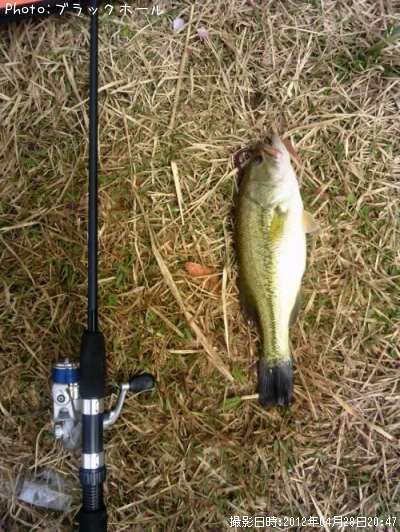 �֥�å��Х�