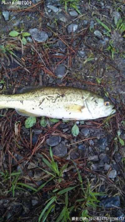 �֥�å��Х�