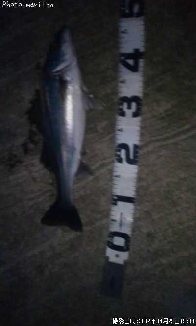 �����Х�