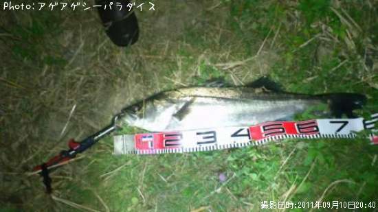 �����Х�