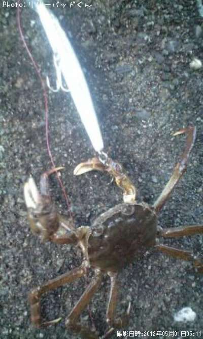 �峤�Υ���ƻ��