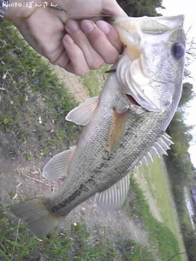 �֥�å��Х�