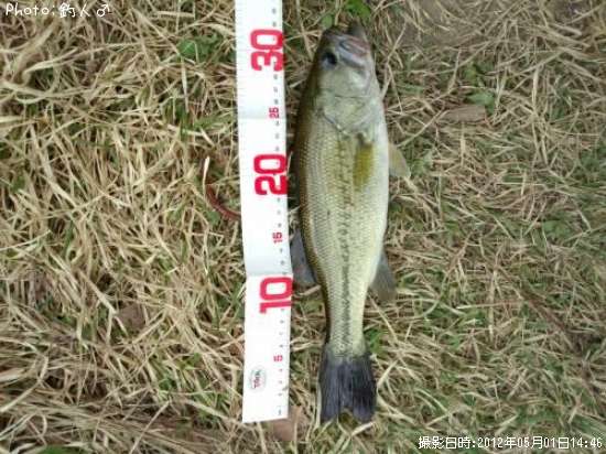 �顼���ޥ����Х�