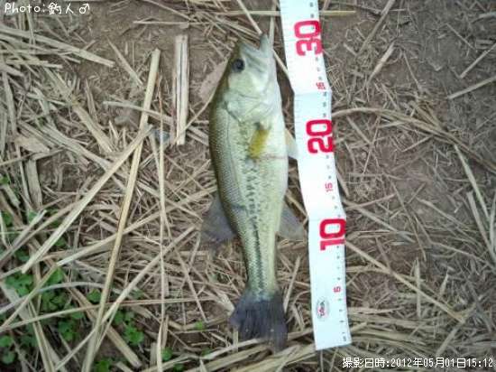 �顼���ޥ����Х�