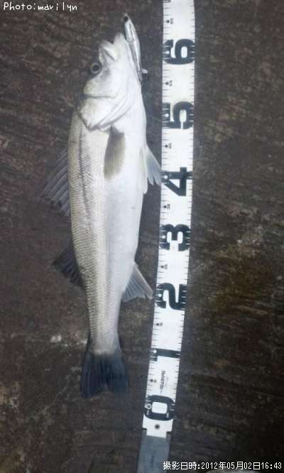 �����Х�