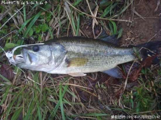 �֥�å��Х�