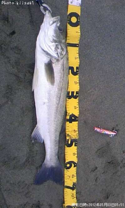 �����Х�