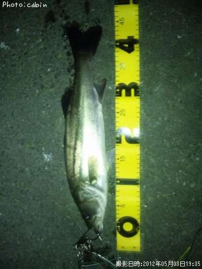 �����Х�