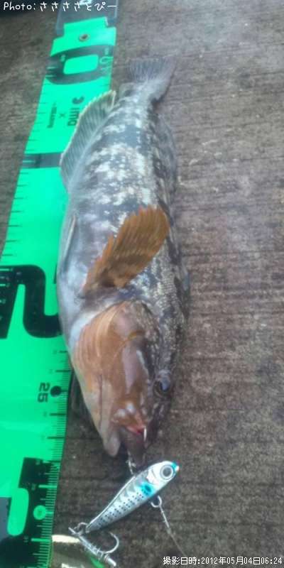 �����ʥ�