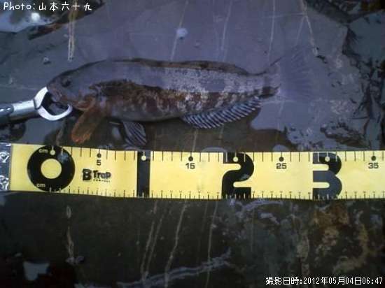 �����ʥ�