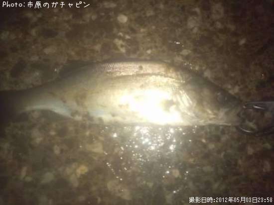 �����Х�