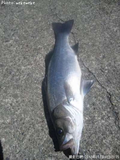 �ҥ饹����