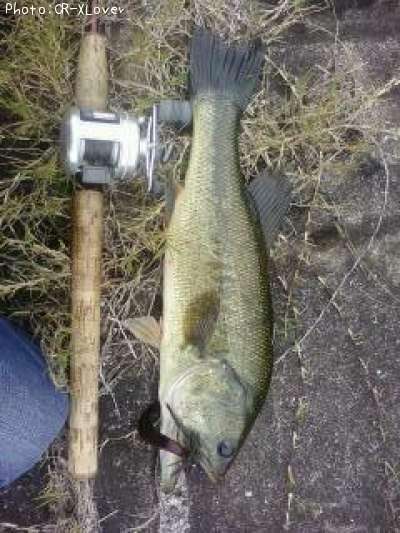 �֥�å��Х�