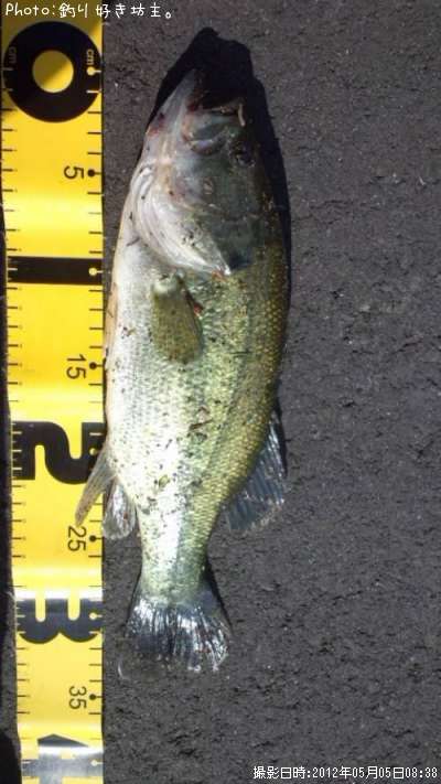 �֥�å��Х�