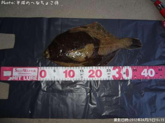 �ޥ����쥤