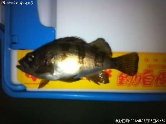 ���ӥ�Х�ߣ�