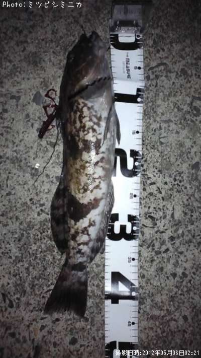 �����ʥ�