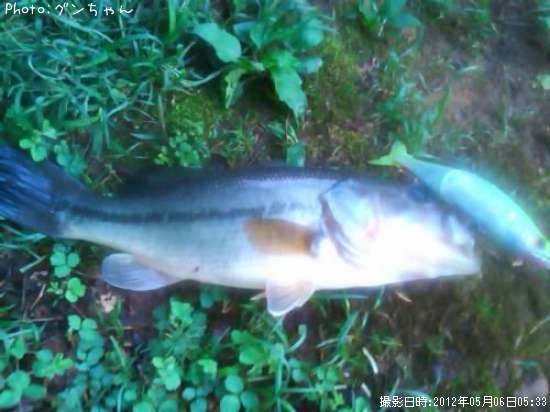 �֥�å��Х�