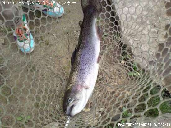 �쥤��ܡ��ȥ饦��