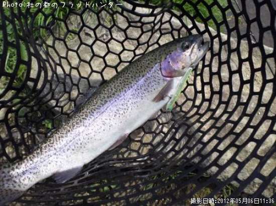 �쥤��ܡ��ȥ饦��