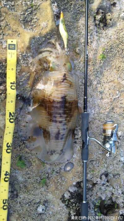 �����ꥤ��