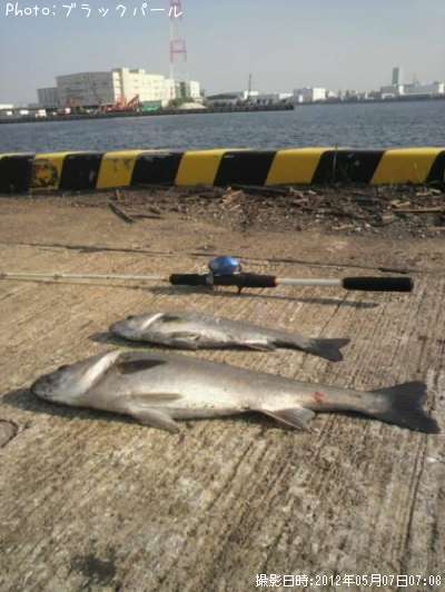 �����Х�