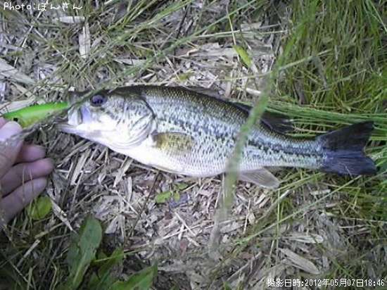 �֥�å��Х�