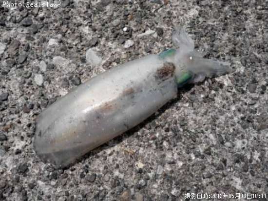 �����ꥤ��