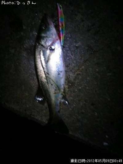 �����Х�