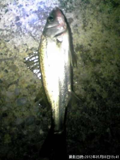 �����Х�