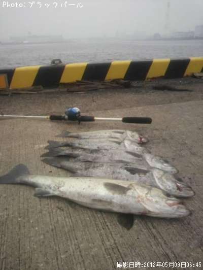 �����Х�