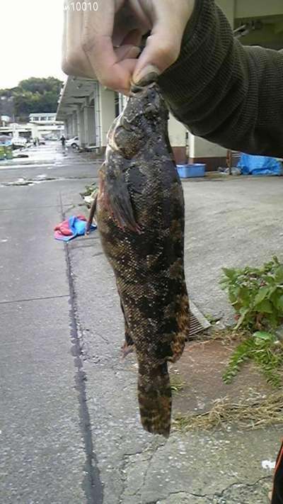 �����ʥ�