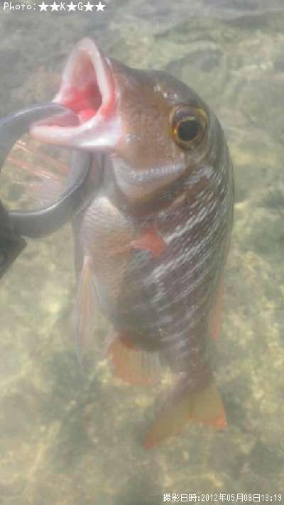 �����ե��ե�����