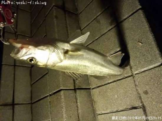 �����Х�