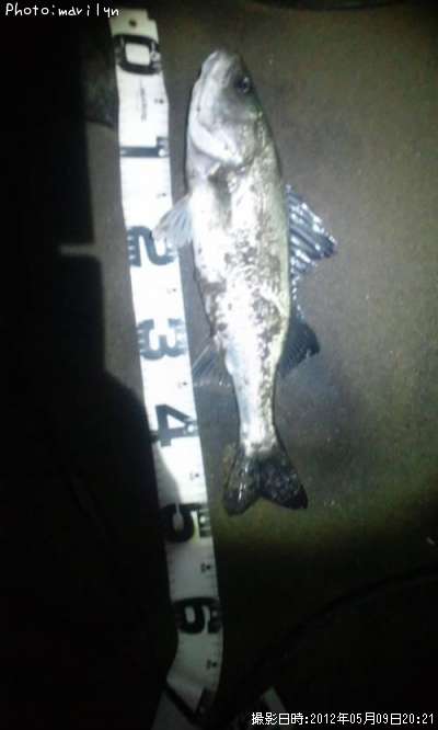 �����Х�