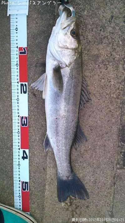 �����Х�