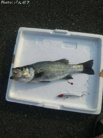 �ҥ饹����