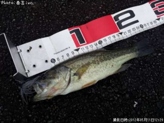 �֥�å��Х�