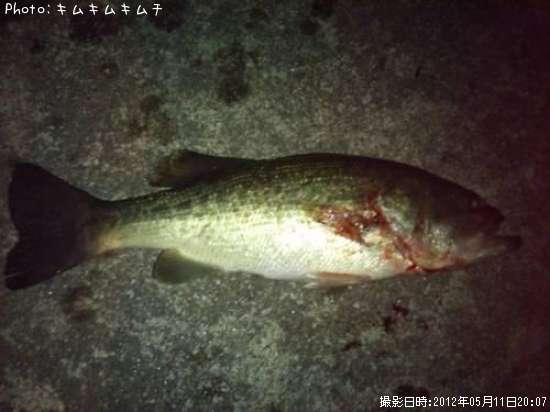 �֥�å��Х�